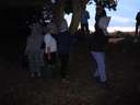 Scout Summer Camp, 2014 524