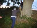 Scout Summer Camp, 2014 534