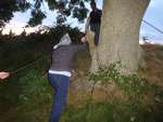 Scout Summer Camp, 2014 534