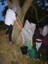 Scout Summer Camp, 2014 561