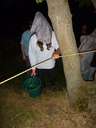 Scout Summer Camp, 2014 591