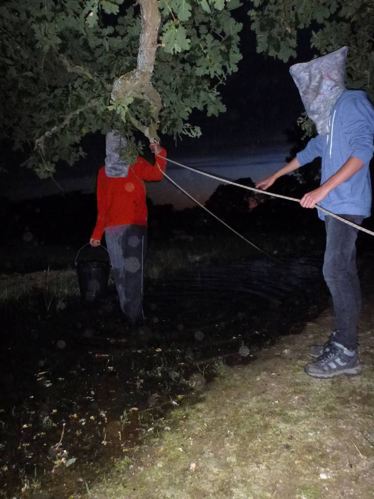Scout Summer Camp, 2014 559