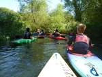 Scout Summer Camp, 2014 573