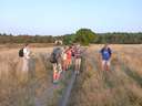 Scout Summer Camp, 2014 530