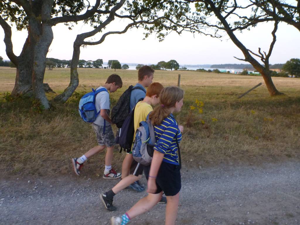 Scout Summer Camp, 2014 526