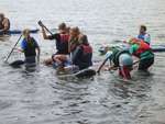 Scout Summer Camp, 2014 553