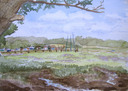 Thumbnail of camp_watercolour.jpg