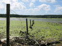 Thumbnail of SavageSiteVisit012.jpg